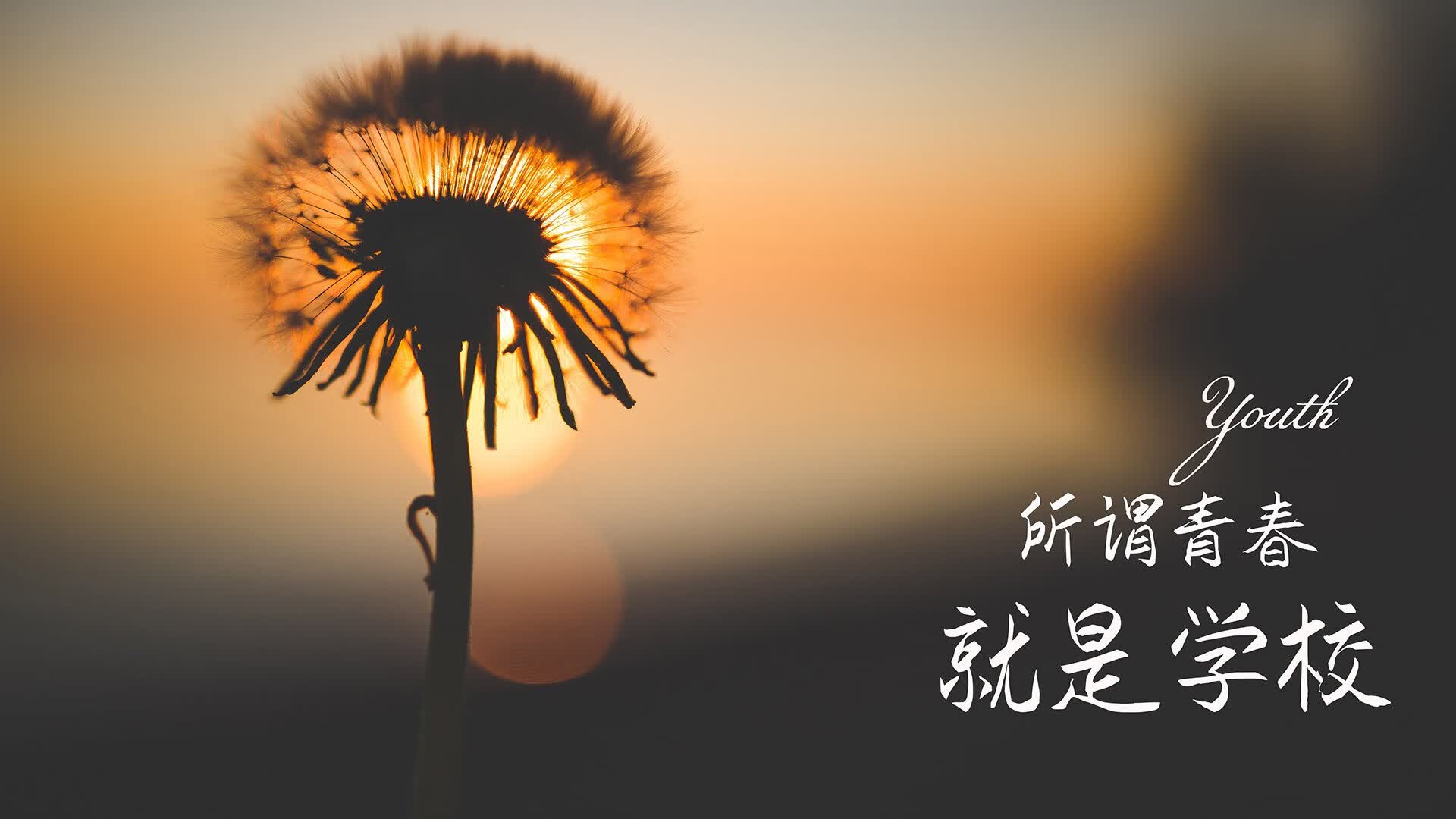世界举重锦标赛:技术精细化训练推动成绩稳步提升,世界举重锦标赛冠军有多少奖金